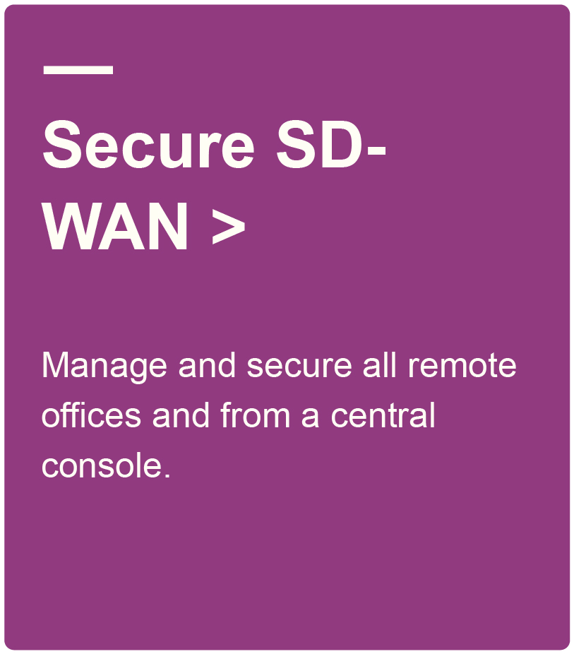 Secure SD-WAN